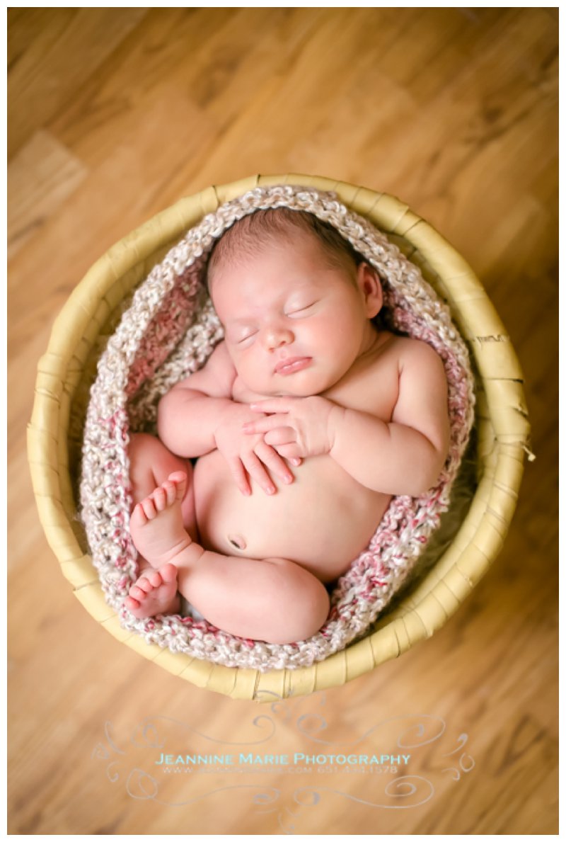 Minnesota wedding photographer, newborn photographer, baby portraits