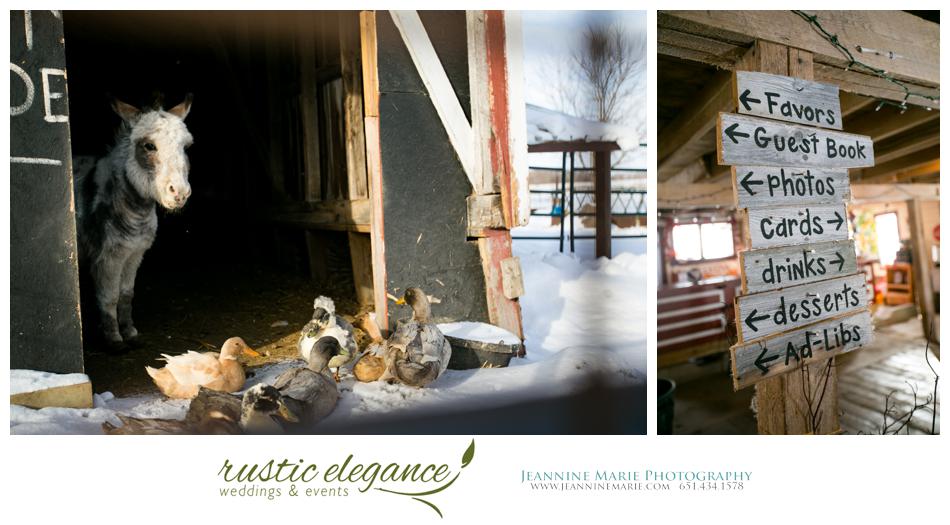Terra Nue Farm, MN Barn Weddings, Minnesota Barns, Taylor Falls Barn, Jeannine Marie Photography_0048.jpg