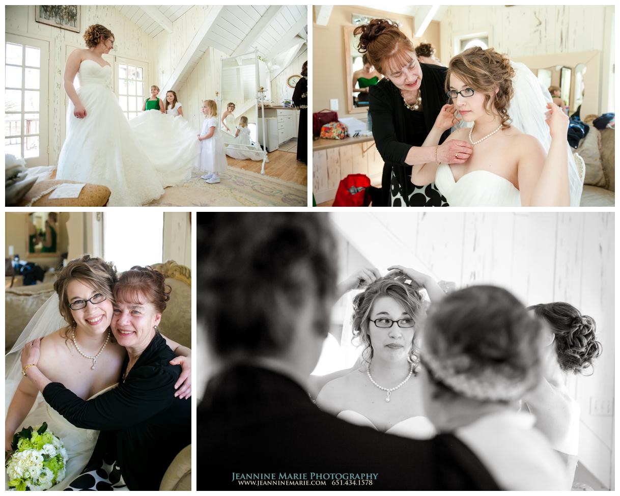 Jeannine Marie Photography, Woods Chapel, Harriet Island Pavillion, St Paul wedding Photographers, MN Wedding Photographers_0134.jpg
