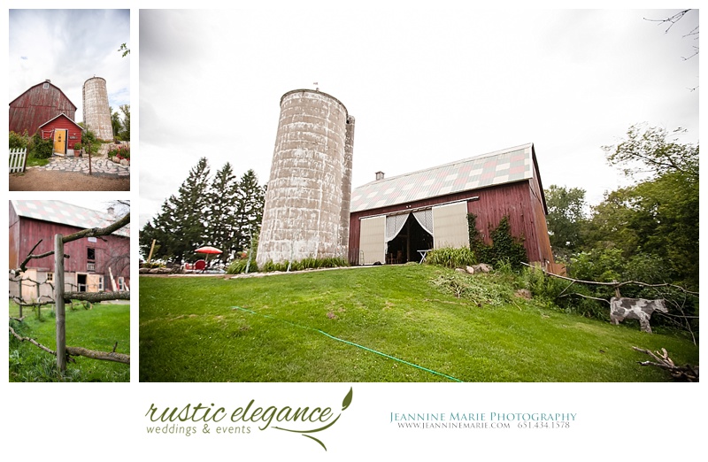 Blue Horse Farm, country wedding, Twin Cities barn wedding, rustic wedding, Rustic Elegance, Twin Cities wedding planner, Jeannine Marie Photography, Twin Cities wedding Photographer_0428