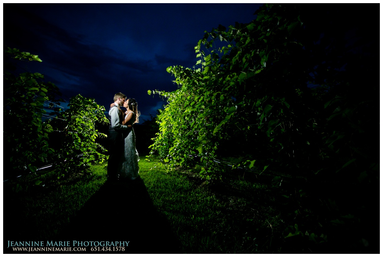 Villa Bellezza Wedding, Villa Bellezza Winery, Minnesota Wedding Photographer, Pepin Wisconsin Wedding_0623.jpg