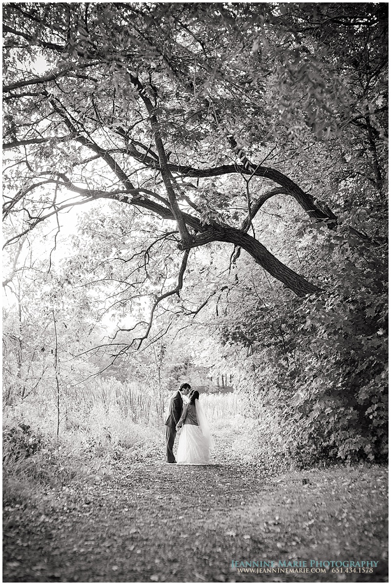 Ali and Jason, bride and groom poses, Minnesota Landscape Arboretum, Twin Cities wedding photographer, Jeannine Marie Photography_1074