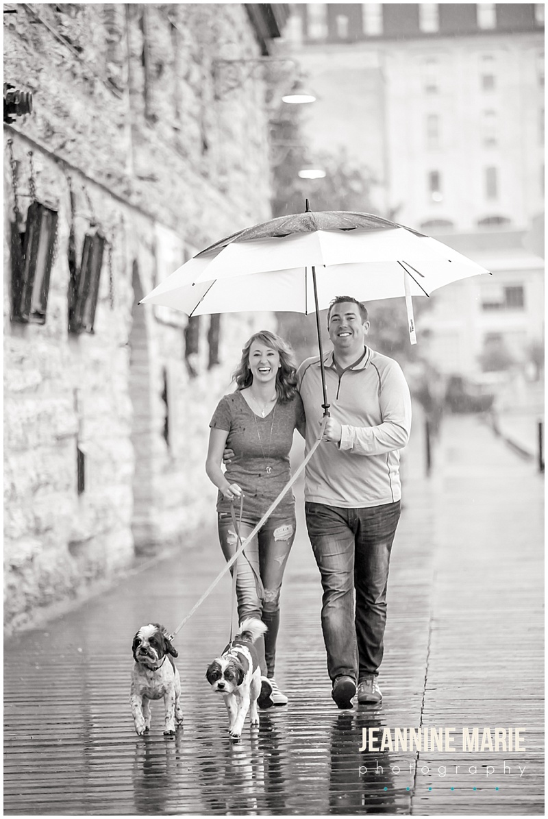 Minneapolis, couple, dogs, rain, umbrella, laughing
