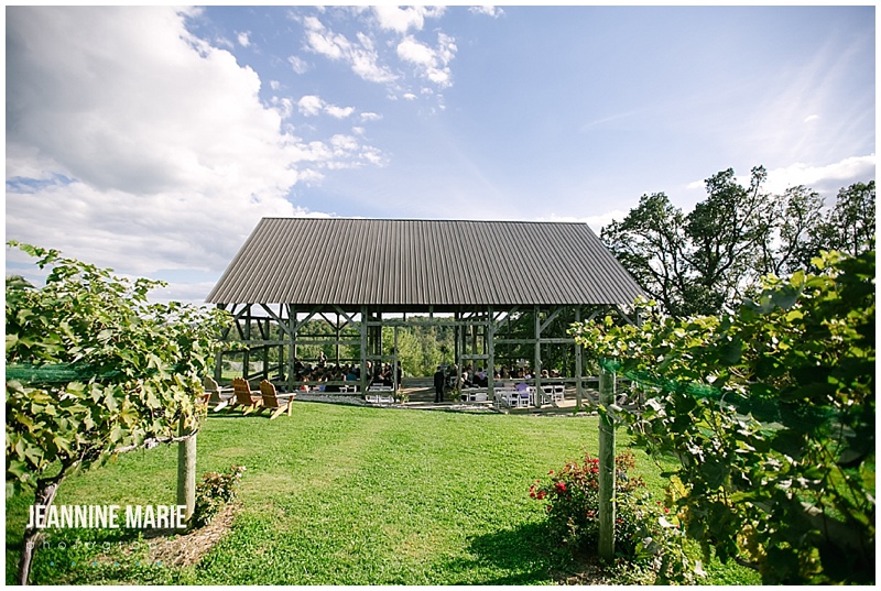 Cannon River Winery, outdoor, ceremony, outside, wedding, vineyard, winery wedding