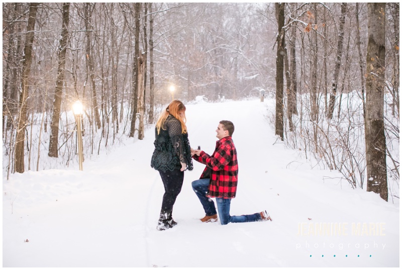 Minnesota snowstorm, couple portraits, winter proposal, snowstorm proposal, Minnesota proposal photographer, Jeannine Marie Photography