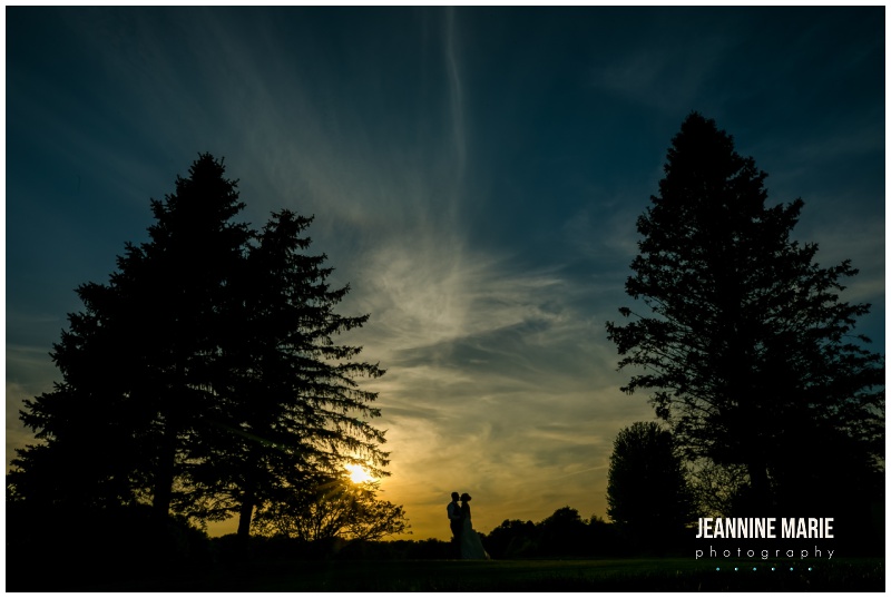 silhouettes, sunset, sky, trees, Blue and coral wedding, teal and coral wedding, aqua and coral wedding, summer wedding, Minnesota wedding venues, Minnesota wedding inspiration, outdoor wedding, outdoor ceremony, Royal Golf Club, Sweet Peas Floral, Buttercream Wedding Cakes, GenerationNOW Entertinament, Paper Source, Spa Beauty Agency, Wedding Shoppe Inc, Morilee Bridal, Bill Levkoff, Men’s Wearhouse, Jeannine Marie Photography, Minnesota wedding photographer, Saint Paul wedding photographer, Minnesota Bride, Twin Cities wedding photographer, Minnesota engagement photographer